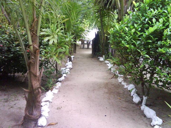 Hotel Salvador Gaviota Lívingston 외부 사진